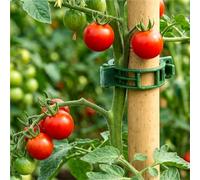 ESTDKMNOS Le Piante supportano Il Clip della vigna, Clip di Supporto for Piante da Giardino for la Crescita Verticale del Pomodoro, 150/300 Pezzi Multicolore(150pcs)