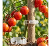 ESTDKMNOS Le Piante supportano Il Clip della vigna, Clip di Supporto for Vite da Giardino for La Crescita Eretta Pomodori E Multicolore 150 300 Pezzi(White 150pcs)