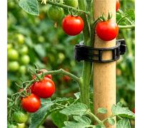 ESTDKMNOS Le Piante supportano Il Clip della vigna, Clip di Supporto for Vite da Giardino for La Crescita Eretta Pomodori E Multicolore 150 300 Pezzi(Black 150pcs)