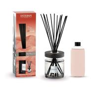 Esteban - Bouquet profumato Ellisse Terre d'Ocre Karité 200 ml