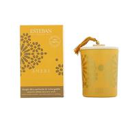 Esteban - Candela decorativa ricaricabile ambra
