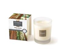 Esteban Candela profumata Cedro Selvatico, ricaricabile, 170 g