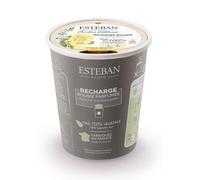 Esteban - JASMIN D' ETE 180 gr Ricarica Candela 100% Cera Vegetale