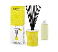 Esteban Paris - Bouquet Profumato Decorativo Terre D'AGRUMI 100ml (Bastoncini e Ricarica)