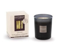 Esteban Paris - Candela profumata ricaricabile CEDRO 170g