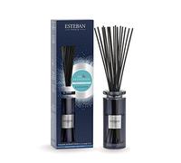 ESTEBAN PARIS DIFFUSORE A BASTONCINO BOUQUET 75ML LINEN&PETITGRAIN PROFUMATORI AMBIENTI