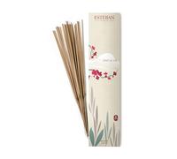 Esteban Paris - Incenso indiano ESPRIT DE THE' 20 bastoncini THE-006