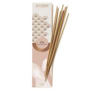 ESTEBAN PARIS INCENSO PER AMBIENTE IRIS CASHMERE PROFUMO CASA