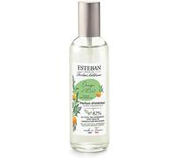 Esteban Paris Orange e Thè Vert Arancio E Thè Verde Spray Per Ambiente 100 ml Made In France