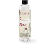 ESTEBAN PARIS - Ricarica di profumo 250ml ESPRIT DE THE' per bouquet e diffusore in ceramica THE-013