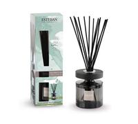 Estéban Bouquet profumato Lino Puro Ellipse con bacchettine e ricarica 100 ml