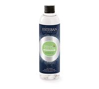Esteban - Ricarica per bouquet profumato di tè bianco e Ylang Ylang, 250 ml