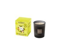 Esteban Terre D'Agrumes Candela profumata 180 g