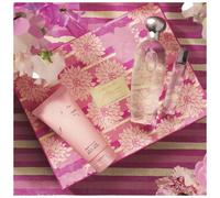 Estee Lauder Pleasures Set (edp/100ml + b/lot/75ml + edp/10ml)