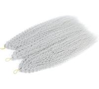 Estensioni dei capelli Dreadlock, Estensioni dei capelli, Riccioli afro Ricci crespi Treccia all'uncinetto Riccioli africani Capelli Ombre Intrecciare i capelli(M Sliver Grey 7Pcs/Lot)