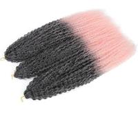 Estensioni dei capelli Dreadlock, Estensioni dei capelli, Riccioli afro Ricci crespi Treccia all'uncinetto Riccioli africani Capelli Ombre Intrecciare i capelli(M1B F 1Pcs/Lot)