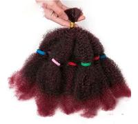 Estensioni dei capelli ricci sintetici all'uncinetto 12 pollici Intrecciatura Ombre Capelli Afro crespi Trecce sfuse Bionde Fasci Bug Nero-T1B/Borgogna-12 pollici-CINA-5 pezzi/lotto