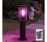 Esterni Luce con Piedistallo Lampione Telecomando Dimmerabile IP54 Inox RGB LED