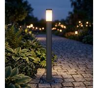 Esterni Piantana Lampade da Percorso 1xE27 Acciaio Inox Antracite Giardino [EEK: Non valutato]