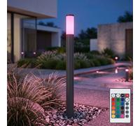 Esterni Piantana Lampade da Percorso RGB LED Telecomando Dimmerabile Acciaio Hof