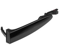 Esterno Maniglia Anteriore Posteriore Sinistro per BMW X5 E70 06- X6 E71 07