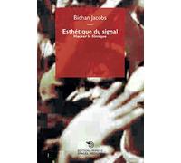 Esthetique du signal. Hacker le filmique