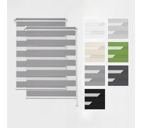 Estika Tende a rullo giorno e notte senza forare set da 2-40 x 150 cm - Grigio - per interni, per finestre, tessuto semi-trasparente, fissaggio a morsetto (Klemmfix), protezione solare