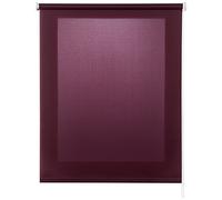 Estores Collection Tenda a rullo Translucent Viola 100 x 180 cm