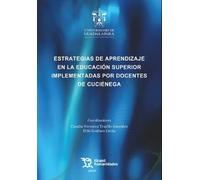 Estrategias de aprendizaje en la educación superior implementadas por docentes de Cuciénega
