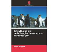 Estratégias de mobilização de recursos na educação