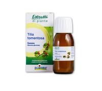 Estratti di Piante Tilia tomentosa Gemme - Integratore Alimentare, Ingredienti 1