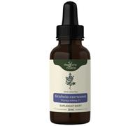 Estratto di erba di salvia rossa di Nanga 1:1 - 50 ml