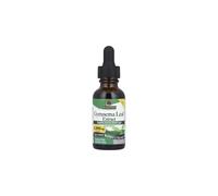 Estratto di foglie di Gymnema, 1000 mg - 30 ml.