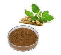 Estratto di radice di Ashwagandha in polvere 20% Withanolides Withania ginsen...