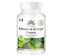 Estratto Ginkgo Biloba capsule 95mg - 90 capsule - almeno 24% di flavoni e almen