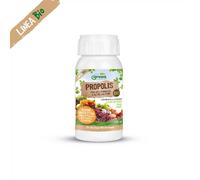 Estratto Propolis 1kg Green Ravenna