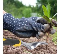 Estrattore Di Erbacce Da Giardino Strumenti Per Estrarre Le Strumento