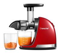 Estrattore di Succo a Freddo AMZCHEF - Estrattore Silenzioso con Funzione Inversa per Frutta e Verdura | Include Brocca e Spazzola di Pulizia (150 W, Argento)
