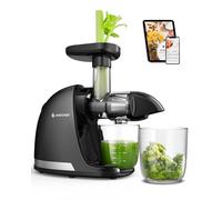 Estrattore di Succo a Freddo AMZCHEF - Estrattore Silenzioso con Funzione Inversa per Frutta e Verdura | Include Brocca e Spazzola di Pulizia (150 W, nero)