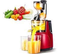 Estrattore Di Succo A Freddo, Estrattore Commerciale Di Alta Qualità, Con Efficiente Separazione Dei Residui, Facile Da Pulire, Ideale For Sorbetti Di Frutta Nutrienti E Succhi Di Verdura, For Uso