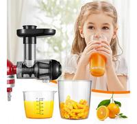 Estrattore di succo lento per frutta e verdura - Compatibile con i frullatori Kitchenaid Compatibile con la spremitura sana