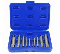 Estrattore per Maschi Estrattore per Viti a Testa Rotta In Acciaio Ad Alta Velocità 3 Tipi Set di Punte Per Estrattori Per Rimozione di Bulloni Industriali (10 Pieces)