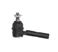 Estremità del tirante REINHOCH RH01-6026