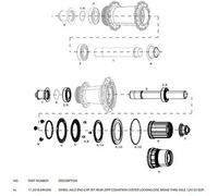 Estremità dell'asse della ruota posteriore Zipp Cognition DB 12x135 XDR (x2) Noir