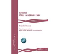 Estudios sobre la norma penal: 29
