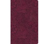 ESV Large Print Value Thinline Bible (Rilegato in ecopelle)