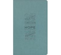 ESV Large Print Value Thinline Bible (TruTone, Paris Sky, Hebrews 10:23 Design)