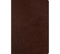 ESV Single Column Journaling Bible, Large Print (Rilegato in ecopelle)