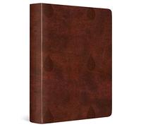 ESV Single Column Journaling Bible (Rilegato in ecopelle)