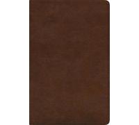 ESV Spanish/English Parallel Bible (Rilegato in ecopelle)